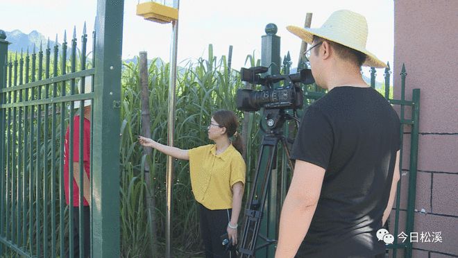 《鄉(xiāng)約科普》走進(jìn)松溪 科技與鄉(xiāng)村的美麗相遇